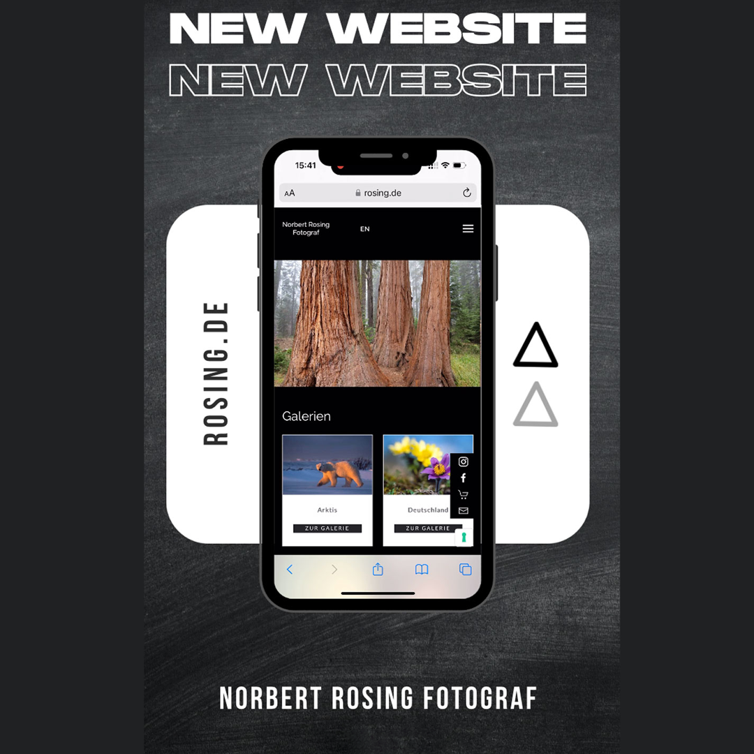 Kauri-Spirit-Marketer-Insta-#331-#1-2024 Norbert Rosing Website Marketer Kauri Spirit